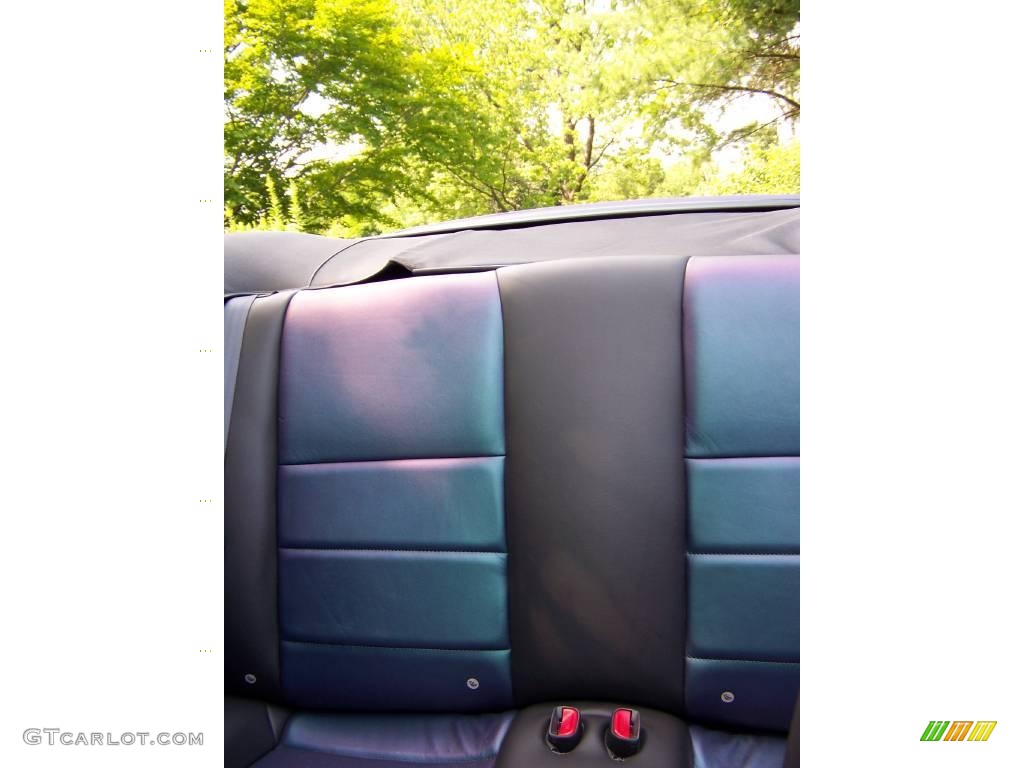 2004 Ford Mustang Cobra Convertible Rear Seat Photo #15440067