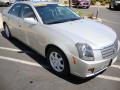 Light Platinum - CTS Sedan Photo No. 4