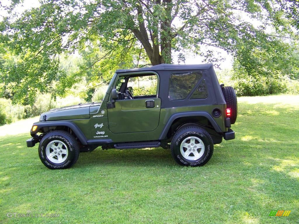 2006 Wrangler Sport 4x4 - Jeep Green Metallic / Dark Slate Gray photo #3