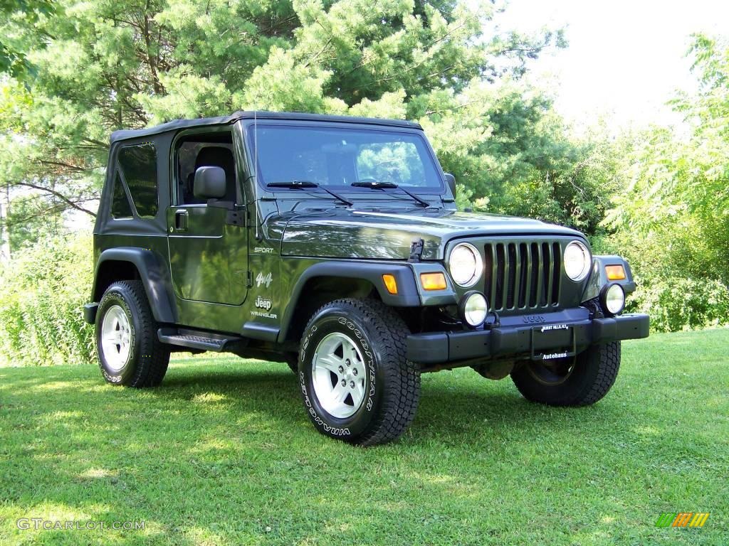 2006 Wrangler Sport 4x4 - Jeep Green Metallic / Dark Slate Gray photo #6