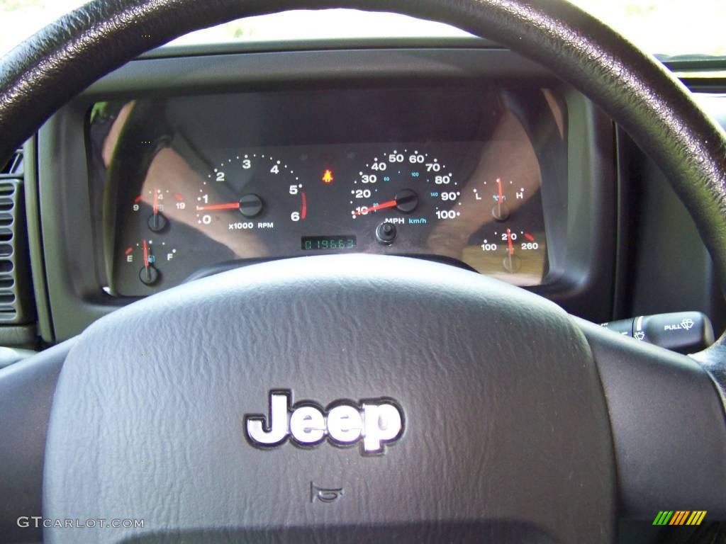 2006 Wrangler Sport 4x4 - Jeep Green Metallic / Dark Slate Gray photo #14