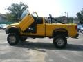 2002 Flame Yellow Chevrolet S10 ZR2 Extended Cab 4x4  photo #10