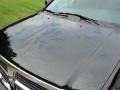 Brilliant Black Crystal Pearl Coat - Durango SLT 4x4 Photo No. 10