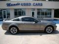 2005 Mineral Grey Metallic Ford Mustang GT Deluxe Coupe  photo #9