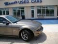 2005 Mineral Grey Metallic Ford Mustang GT Deluxe Coupe  photo #20