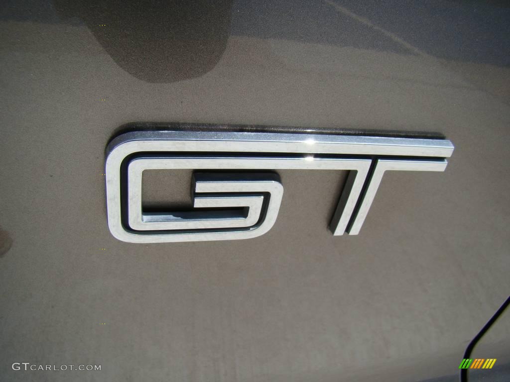 2005 Mustang GT Deluxe Coupe - Mineral Grey Metallic / Medium Parchment photo #24