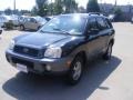 2003 Black Obsidian Hyundai Santa Fe GLS 4WD  photo #4