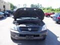 Sage Brush Pearl - Pilot LX 4WD Photo No. 14