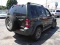 2006 Jeep Green Metallic Jeep Liberty Renegade 4x4  photo #5