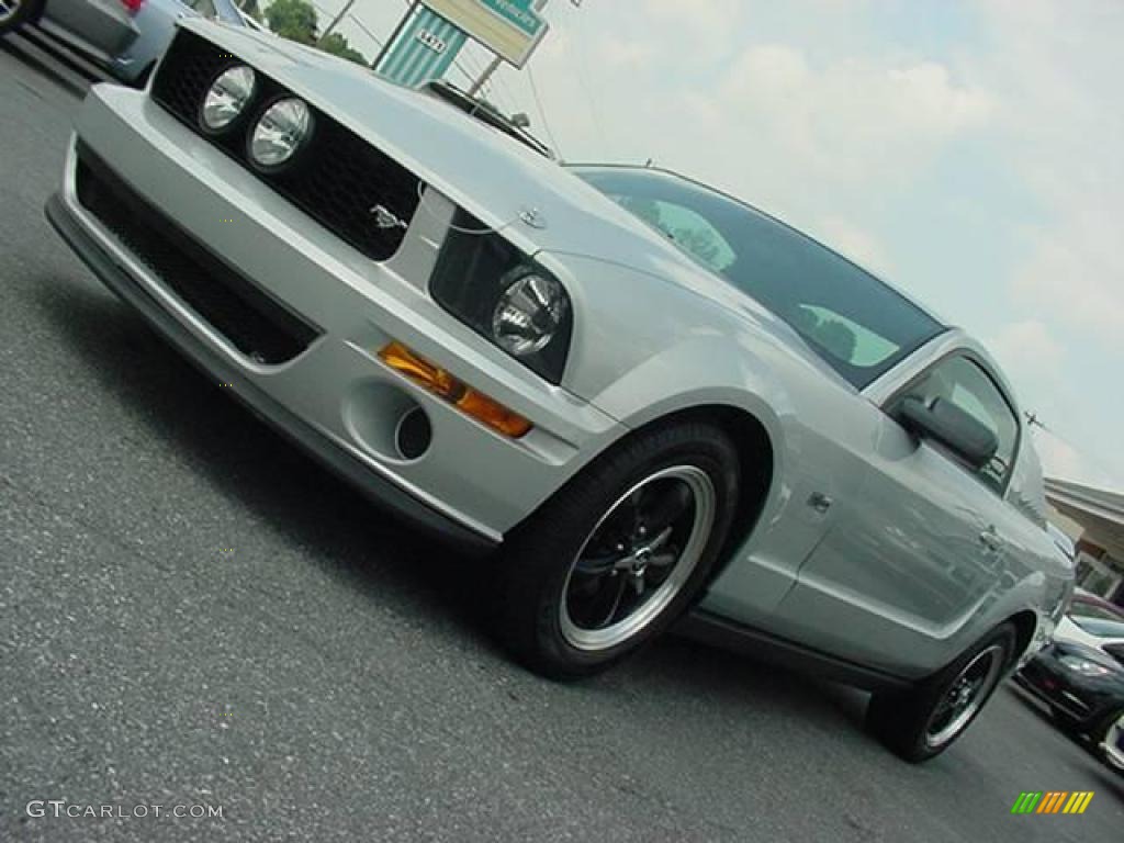 2005 Mustang V6 Deluxe Coupe - Satin Silver Metallic / Dark Charcoal photo #14