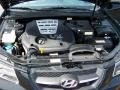 2007 Ebony Black Hyundai Sonata Limited V6  photo #14