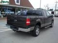 2006 Dark Stone Metallic Ford F150 XLT SuperCab 4x4  photo #2