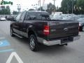 2006 Dark Stone Metallic Ford F150 XLT SuperCab 4x4  photo #4