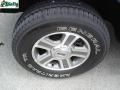 2006 Dark Stone Metallic Ford F150 XLT SuperCab 4x4  photo #13