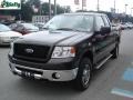 2006 Dark Stone Metallic Ford F150 XLT SuperCab 4x4  photo #14