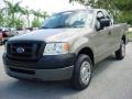 2006 Arizona Beige Metallic Ford F150 XL Regular Cab  photo #8