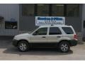 2006 Gold Ash Metallic Ford Escape XLT V6 4WD  photo #2