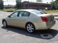 Champagne Mist Metallic - Maxima 3.5 SE Photo No. 1