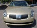 Champagne Mist Metallic - Maxima 3.5 SE Photo No. 4
