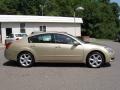 Champagne Mist Metallic - Maxima 3.5 SE Photo No. 6