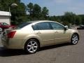 Champagne Mist Metallic - Maxima 3.5 SE Photo No. 7