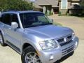 2004 Cool Silver Metallic Mitsubishi Montero Limited 4x4  photo #10