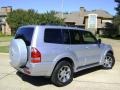 Cool Silver Metallic - Montero Limited 4x4 Photo No. 14