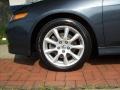 Carbon Gray Pearl - TSX Sedan Photo No. 19