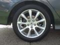 Carbon Gray Pearl - TSX Sedan Photo No. 21