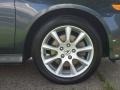 Carbon Gray Pearl - TSX Sedan Photo No. 22