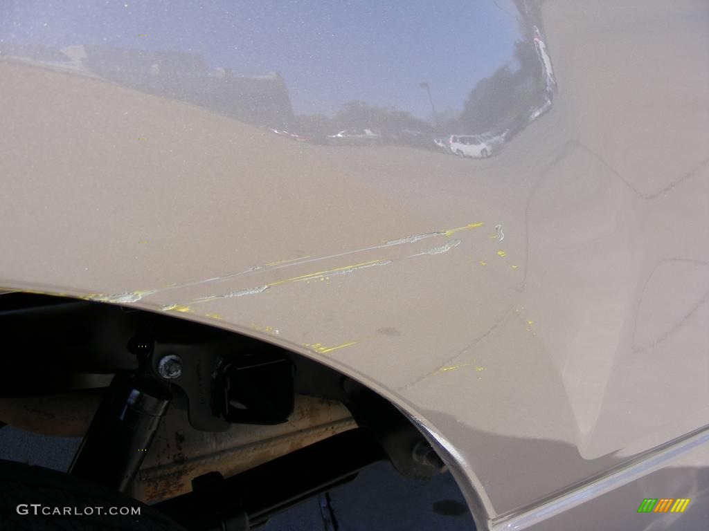 2004 F150 XLT SuperCab - Arizona Beige Metallic / Tan photo #12
