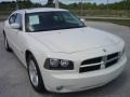 Stone White - Charger R/T Photo No. 31