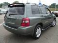 Oasis Green Pearl - Highlander Limited V6 4WD Photo No. 5