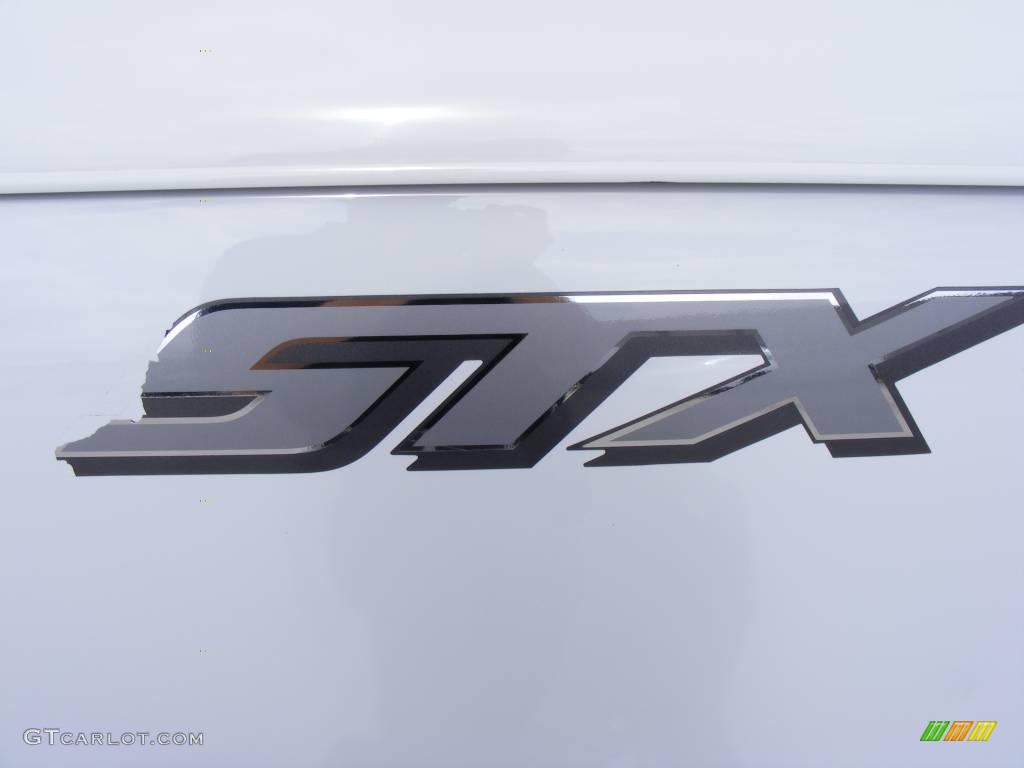 2004 F150 STX Heritage SuperCab - Oxford White / Heritage Graphite Grey photo #15