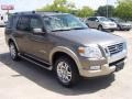 2006 Mineral Grey Metallic Ford Explorer Eddie Bauer  photo #6