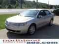 Brilliant Silver Metallic - MKZ AWD Photo No. 14