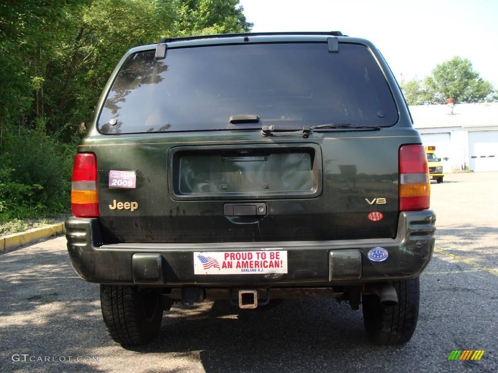 1997 Grand Cherokee Orvis 4x4 - Moss Green Pearl / Camel photo #6