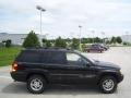Black - Grand Cherokee Limited 4x4 Photo No. 6