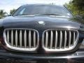 2006 Black Sapphire Metallic BMW X5 4.4i  photo #17