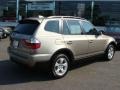 2007 Platinum Bronze Metallic BMW X3 3.0si  photo #8