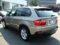 2009 Platinum Bronze Metallic BMW X5 xDrive30i  photo #6