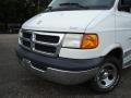 2002 Bright White Dodge Ram Van 1500 Passenger Conversion  photo #9