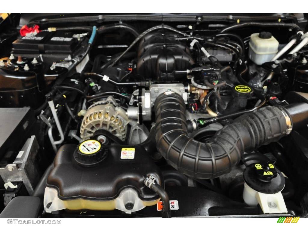 2006 Mustang V6 Premium Coupe - Black / Dark Charcoal photo #15