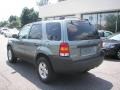 2006 Titanium Green Metallic Ford Escape XLT V6 4WD  photo #3