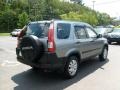 2006 Pewter Pearl Honda CR-V EX 4WD  photo #5