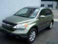 2007 Green Tea Metallic Honda CR-V EX-L 4WD  photo #3