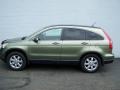 2007 Green Tea Metallic Honda CR-V EX-L 4WD  photo #4