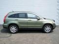 2007 Green Tea Metallic Honda CR-V EX-L 4WD  photo #8