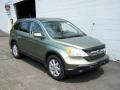 2007 Green Tea Metallic Honda CR-V EX-L 4WD  photo #9