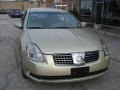 Champagne Mist Metallic - Maxima 3.5 SL Photo No. 3